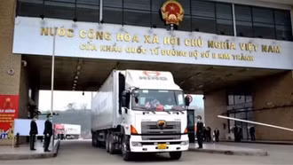 Phân cấp cho địa phương kiểm tra an toàn thực phẩm nhập khẩu diễn ra suôn sẻ