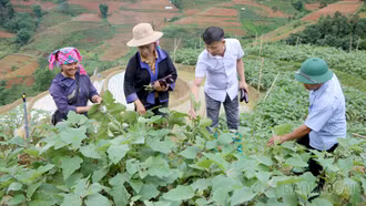 Từ "2 giờ làm nông dân" đến những mùa vụ đổi thay ở Lao Chải