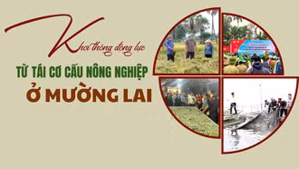 Khơi thông động lực từ tái cơ cấu nông nghiệp ở Mường Lai