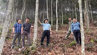 Bảo Ái phát huy “ba trụ cột” thúc đẩy kinh tế nông thôn