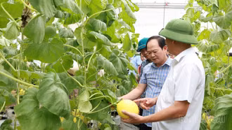 Xã Xuân Quang học tập kinh nghiệm chuyển đổi số, phát triển nông nghiệp công nghệ cao tại xã Thiệu Hóa