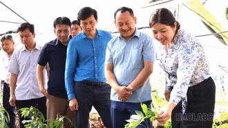 Đoàn công tác xã Mường Chanh học tập kinh nghiệm phát triển du lịch cộng đồng tại xã Mù Cang Chải
