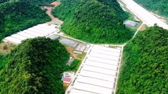 5 người tử vong trong vụ tai nạn tại trang trại lợn ở Thanh Hóa