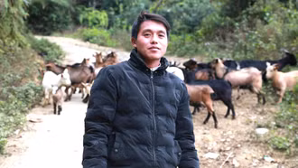 Bám đất, bám bản vươn lên từ chăn nuôi nơi vùng cao