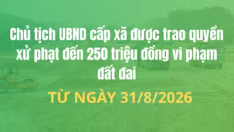 Chủ tịch UBND cấp xã được trao quyền xử phạt đến 250 triệu đồng vi phạm đất đai từ ngày 31/8/2026