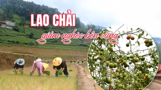 Lao Chải giảm nghèo bền vững