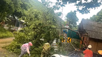 HỎA TỐC: UBND tỉnh Lào Cai chỉ đạo khẩn trương khắc phục hậu quả mưa lớn, dông lốc chiều 27/5