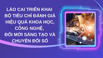 Lào Cai triển khai Bộ tiêu chí đánh giá hiệu quả khoa học, công nghệ, đổi mới sáng tạo và chuyển đổi số