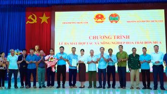 Phường Trung Tâm ra mắt Hợp tác xã Nông nghiệp Hoa trái bốn mùa