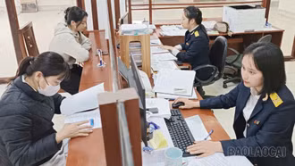 Tăng cường nuôi dưỡng nguồn thu nội địa, tạo nền tảng cho tăng trưởng bền vững