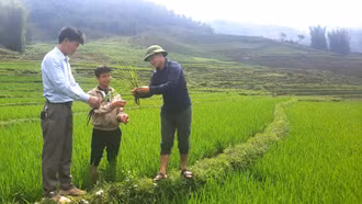 Nậm Có gắn công tác xây dựng Đảng với phát triển kinh tế