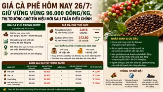 Giá cà phê hôm nay 26/7: Giữ vững vùng 96.000 đồng/kg, thị trường chờ tín hiệu mới sau tuần điều chỉnh