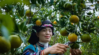Lễ hội “Mường Khương - Sắc màu biên cương” diễn ra ngày 7 - 8/11