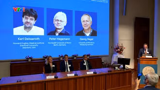 Giải Nobel Y sinh 2026: Dùng ánh sáng để điều khiển tế bào thần kinh