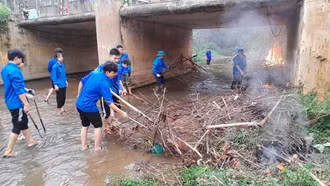 Tuổi trẻ Lào Cai đồng loạt ra quân hưởng ứng "Ngày Chủ nhật xanh" lần thứ II năm 2026