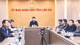 Lào Cai tham dự phiên họp thứ 5 của Ban Chỉ đạo các công trình trọng điểm, dự án quan trọng quốc gia lĩnh vực đường sắt