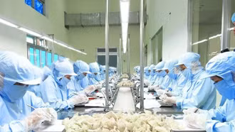 Lưu ý với nông sản Việt xuất Trung Quốc từ ngày 1/6