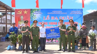 Hạnh Phúc ra quân trồng 100 ha cây dược liệu 