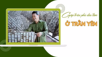 Gặp triệu phú dâu tằm ở Trấn Yên