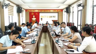 Đoàn giám sát Tỉnh ủy làm việc tại xã Hạnh Phúc