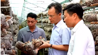 Phó Chủ tịch UBND tỉnh Lào Cai Nguyễn Thành Sinh thăm các mô hình phát triển kinh tế tại Púng Luông