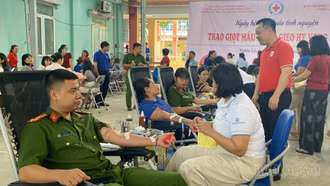 Trên 400 người tham gia Ngày hội hiến máu tình nguyện hè 2026 tại Lào Cai