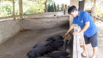 Vốn ưu đãi tiếp sức thanh niên Khao Mang khởi nghiệp