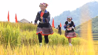 Gần 200 phụ nữ vùng cao tham gia Giải chạy “Váy xòe trên sóng lúa” tại Lao Chải