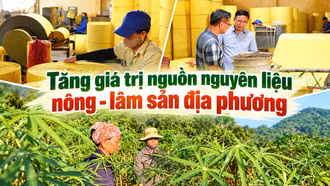 Tăng giá trị nguồn nguyên liệu nông - lâm sản địa phương