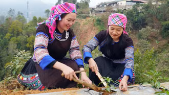 Lao Chải lan tỏa mô hình “2 giờ làm nông dân"