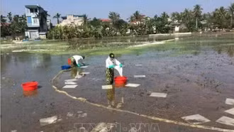 Chỉ thị của Bộ Chính trị về bảo đảm an ninh môi trường trong thời kỳ phát triển mới