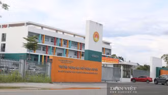 Khởi tố Trưởng Điểm thi tại Trường THPT Chuyên Tuyên Quang