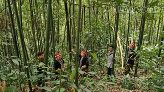 Người dân Phìn Ngan giữ rừng