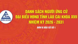 [Infographic] Tiểu sử tóm tắt những người ứng cử đại biểu HĐND tỉnh Lào Cai khóa XVII, nhiệm kỳ 2026 - 2031 - Đơn vị bầu cử số 1