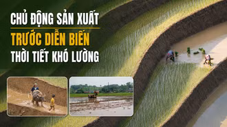 Chủ động sản xuất trước diễn biến thời tiết khó lường