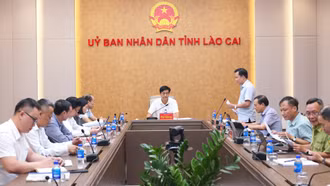 Lào Cai chuẩn bị điều kiện tham gia thị trường tín chỉ carbon rừng