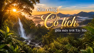 Khu rừng cổ tích giữa mây trời Tây Bắc