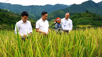 Mường Bo: "Thay áo mới" sau một năm tinh gọn bộ máy