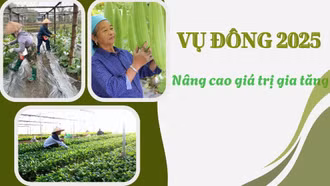 Vụ đông 2025: Nâng cao giá trị gia tăng