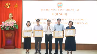 Hội Nông dân tỉnh triển khai nhiệm vụ những tháng cuối năm