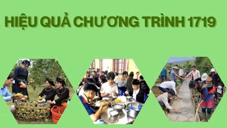 Hiệu quả Chương trình 1719