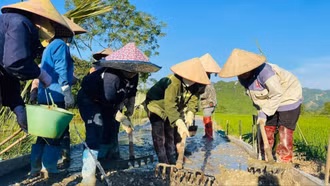 Mường Lai nâng cao hiệu quả thực hiện các chương trình mục tiêu quốc gia