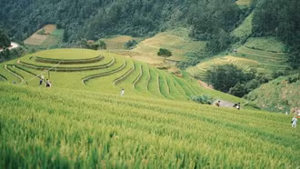 Đưa di sản thành sản phẩm du lịch ở Púng Luông