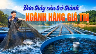 Đưa thuỷ sản trở thành ngành hàng giá trị