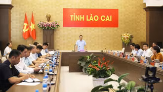 Xử lý hơn 1.220 vụ buôn lậu, gian lận thương mại và hàng giả trong 6 tháng đầu năm