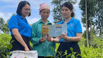 Điểm tựa an sinh nơi vùng cao biên giới