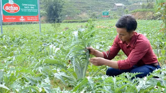 Nhiệm vụ, giải pháp trọng tâm phát triển kinh tế - xã hội và dự toán ngân sách nhà nước năm 2025
