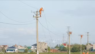 Điện lực miền Bắc yêu cầu lập đội xung kích sẵn sàng cơ động ứng phó bão số 11