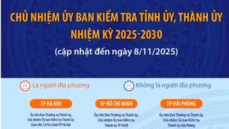 Thông tin về Chủ nhiệm Ủy ban Kiểm tra các tỉnh ủy, thành ủy nhiệm kỳ 2025 - 2030