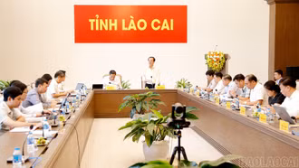 Cần chú trọng hơn nữa việc bồi dưỡng, phát huy đội ngũ trí thức tại chỗ, nhất là trí thức là người dân tộc thiểu số, đội ngũ cán bộ khoa học trẻ, phụ nữ, trí thức trẻ công tác ở vùng cao